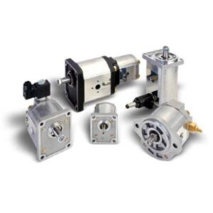 Casappa Polaris motor